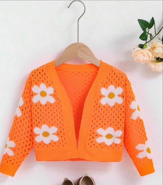 Sun Kissed Crop Sweater